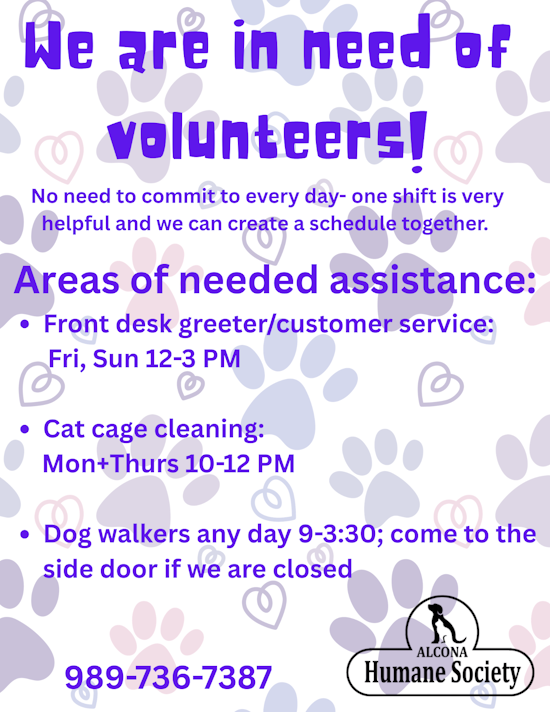 volunteer